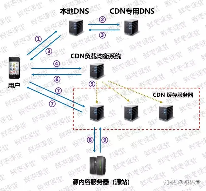 计算机网络 | 🍰 小雨的学习记录
